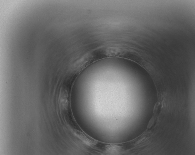 X0000077380226200610271954