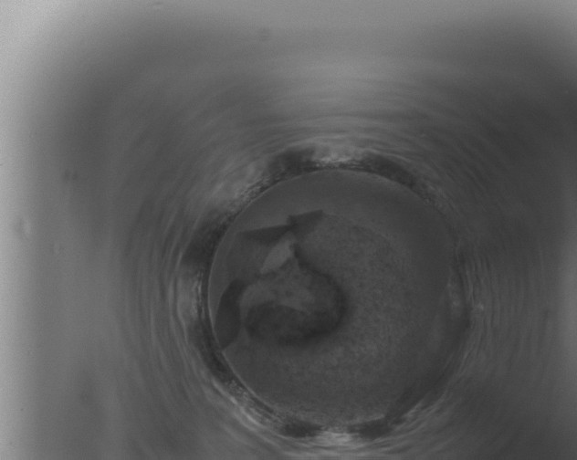 X0000077380227200610271954