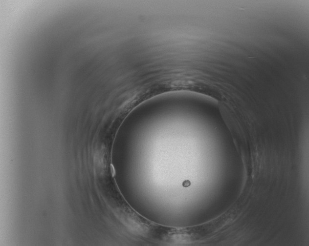 X0000077380228200610271954