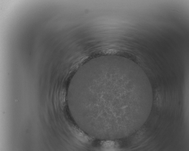 X0000077380230200610271954