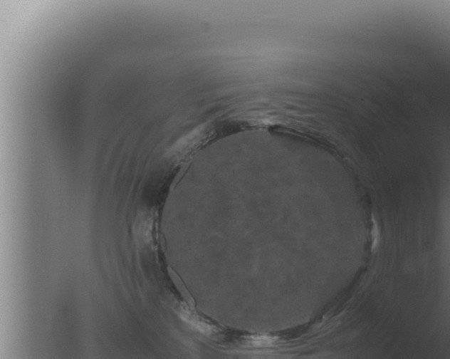 X0000077380233200610271954