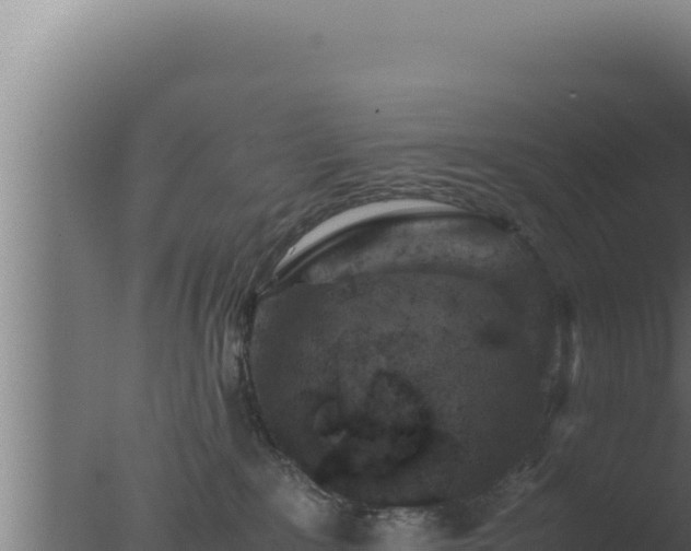 X0000077380235200610271954