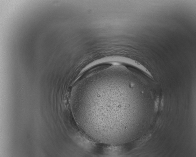 X0000077380237200610271954