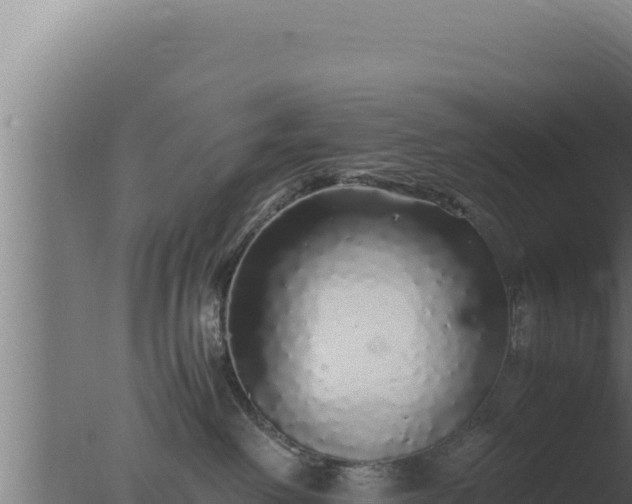 X0000077380238200610271954