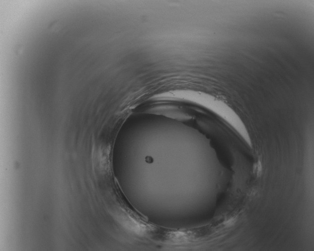 X0000077380239200610271954