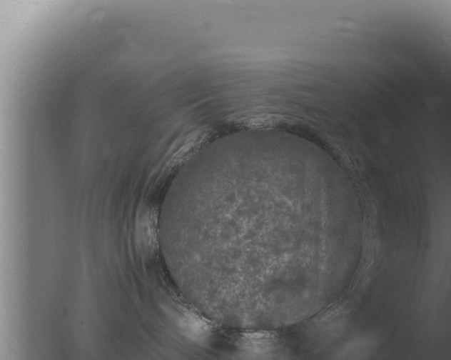 X0000077380240200610271954