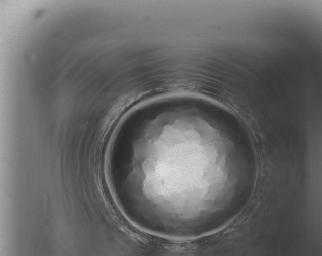 X0000077380241200610271953