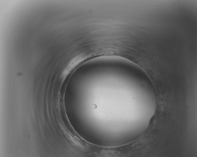 X0000077380242200610271953