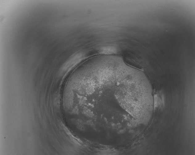 X0000077380243200610271953