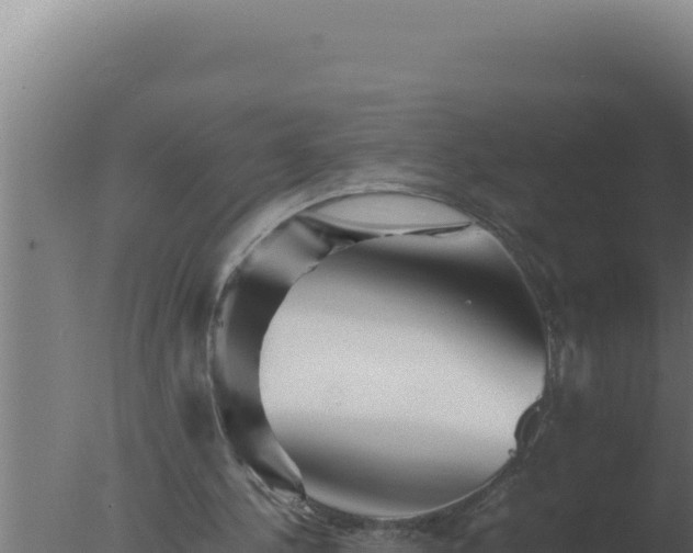 X0000077380244200610271953