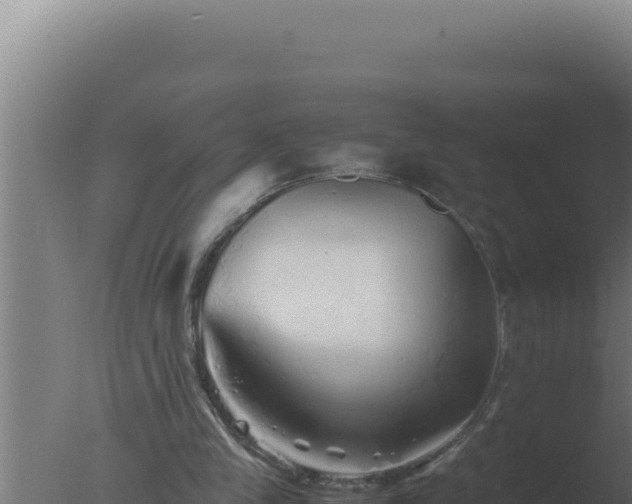 X0000077380245200610271953