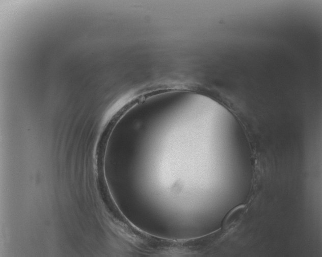 X0000077380246200610271953