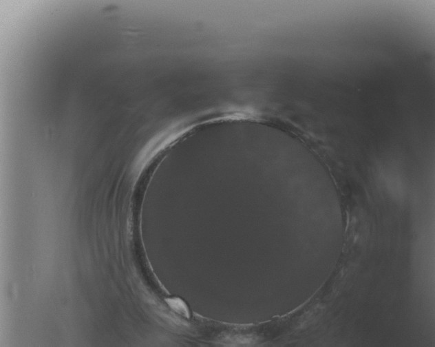 X0000077380247200610271953