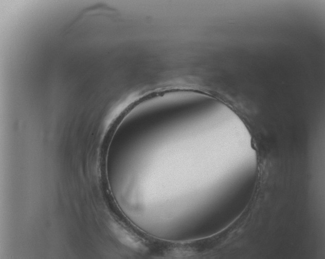 X0000077380248200610271953