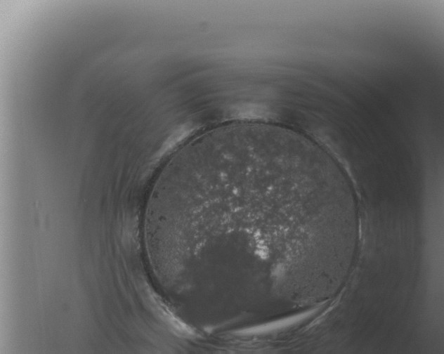 X0000077380249200610271953