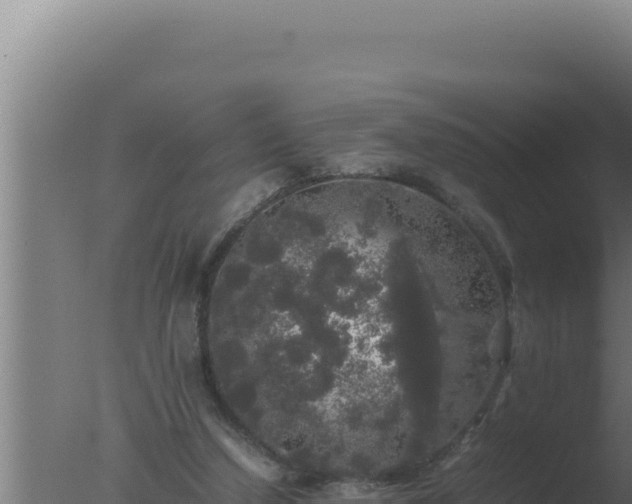 X0000077380250200610271953