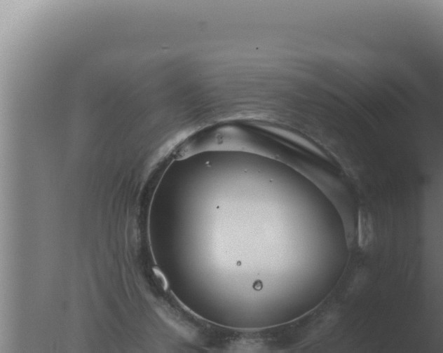 X0000077380252200610271953