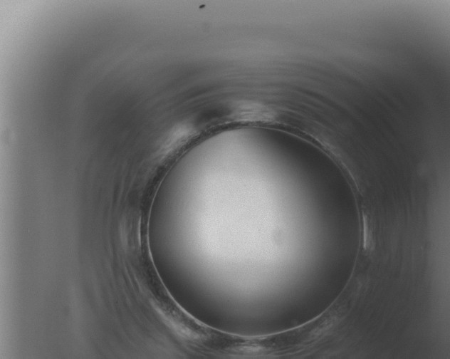 X0000077380253200610271953