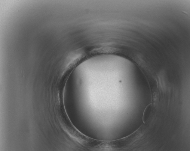 X0000077380254200610271953