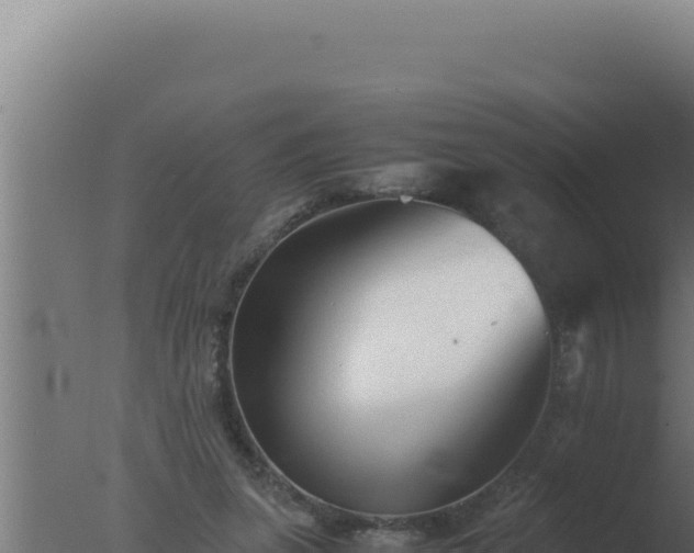 X0000077380255200610271953