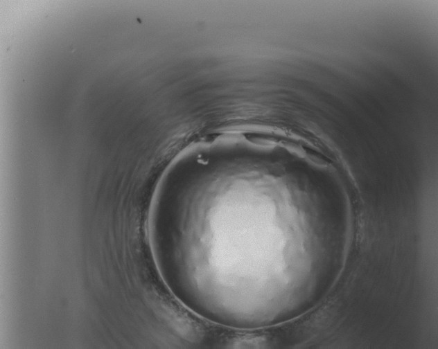 X0000077380257200610271953