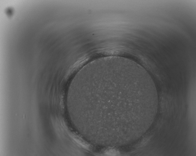 X0000077380258200610271953