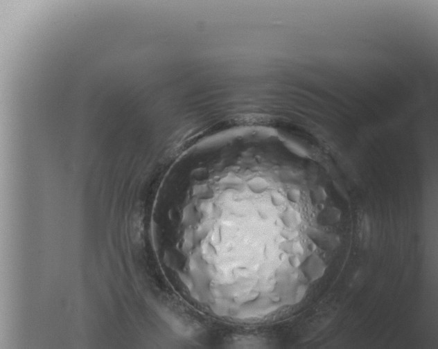 X0000077380259200610271953