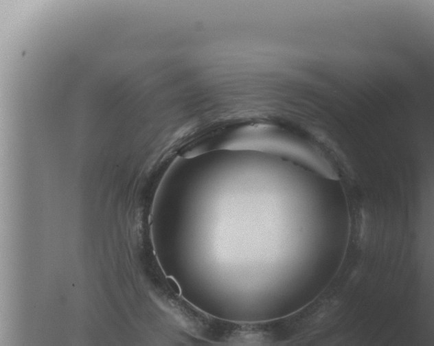 X0000077380260200610271953