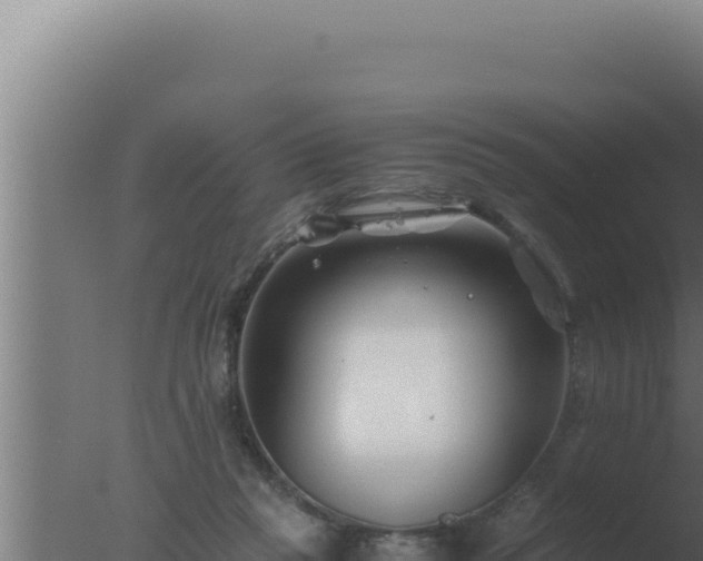 X0000077380261200610271953