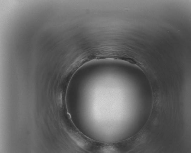 X0000077380262200610271953