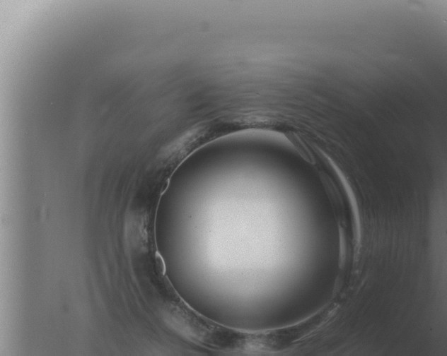 X0000077380264200610271954