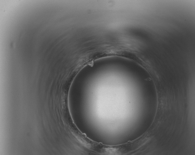 X0000077380265200610271954