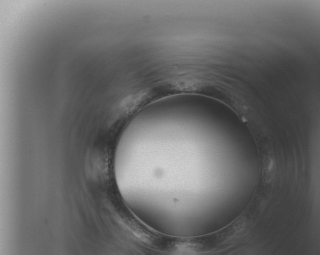 X0000077380268200610271954