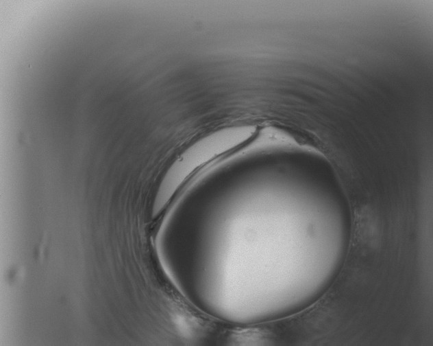 X0000077380269200610271954