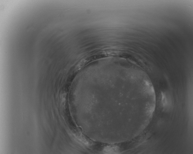 X0000077380271200610271954