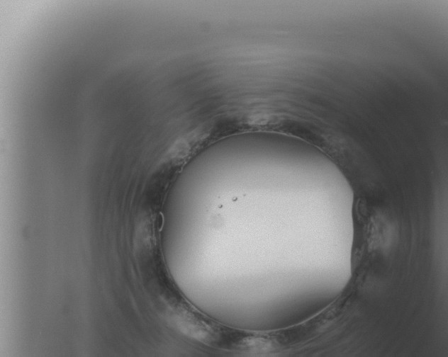 X0000077380272200610271954