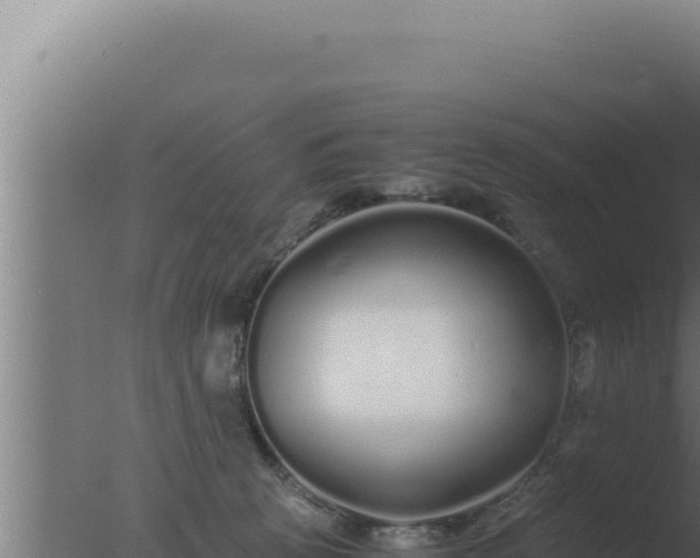 X0000077380273200610271954