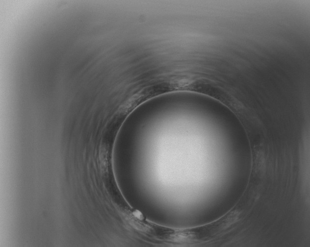 X0000077380274200610271954