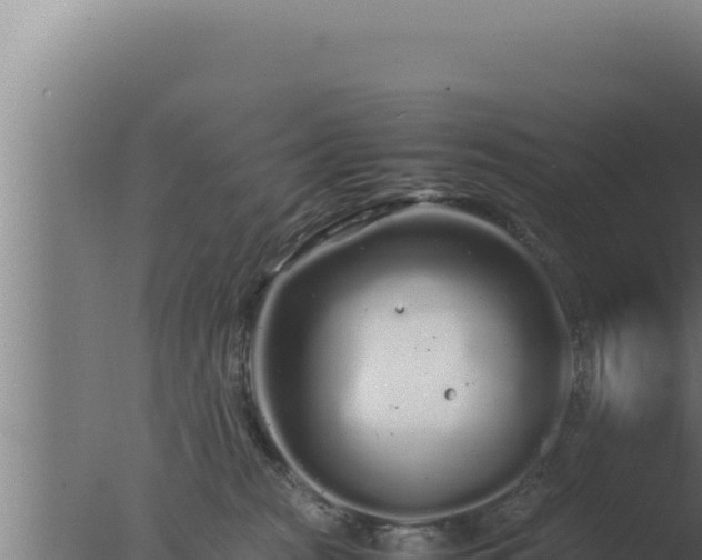 X0000077380277200610271954