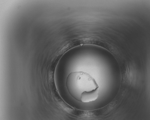 X0000077380278200610271954