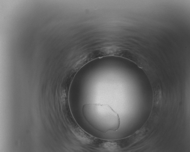 X0000077380279200610271954