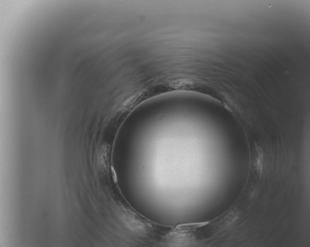 X0000077380280200610271954