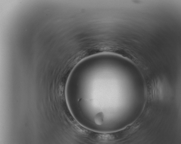 X0000077380281200610271954