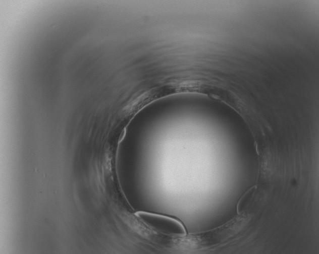 X0000077380282200610271954