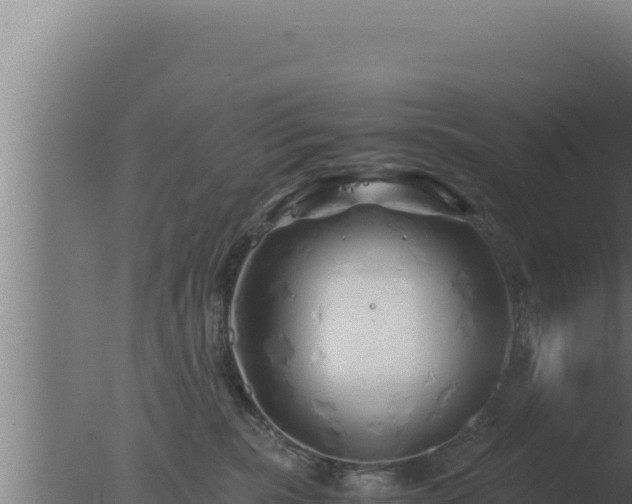 X0000077380283200610271954