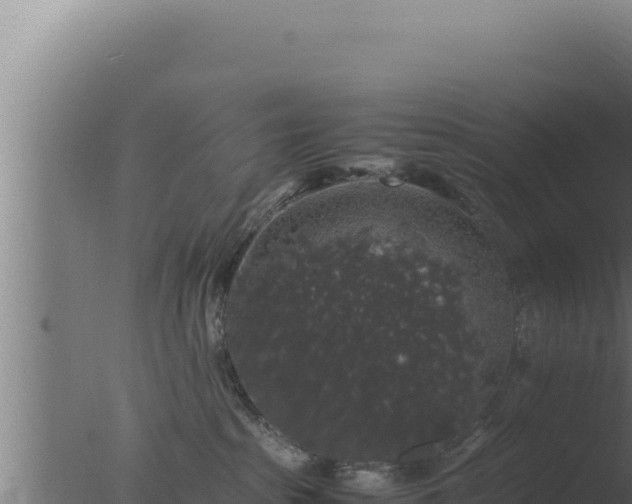 X0000077380285200610271954