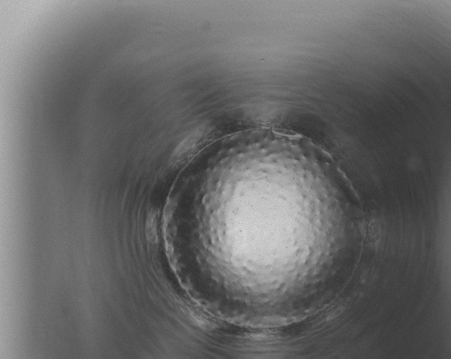 X0000077380286200610271954