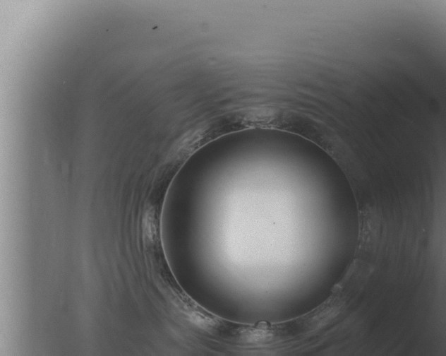 X0000077380287200610271954