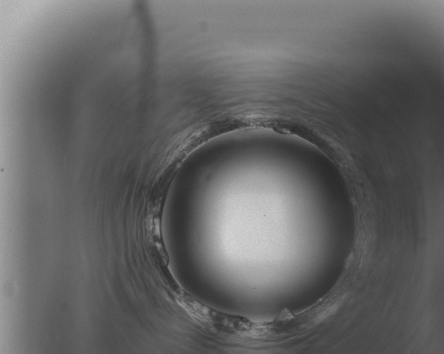 X0000077380288200610271954