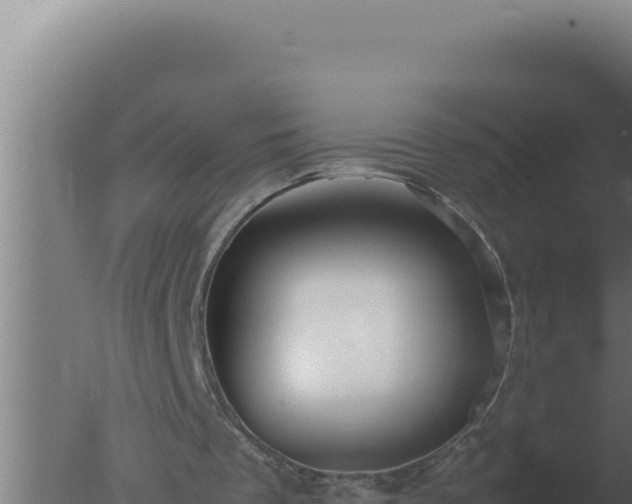 X0000077380289200610271953